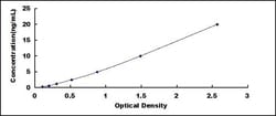 Biomatik Corporation Human Cytochrome P450 2D6 (CYP2D6) ELISA Kit, Quantity: