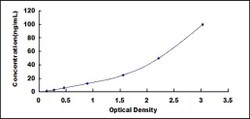 Biomatik Corporation Rat Complement Component 1, Q Subcomponent B (C1qB)