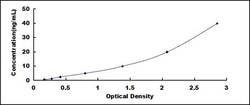 Biomatik Corporation Mouse Odorant Binding Protein 2A (OBP2A) ELISA Kit,