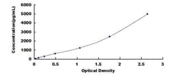 Biomatik Corporation Human Kinectin 1 (KTN1) ELISA Kit, Quantity: Each