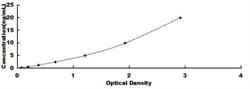Biomatik Corporation Human/Mouse/Rat Signal Transducer And Activator Of