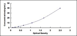 Biomatik Corporation Human Amylase, Alpha 2A (AMY2A) ELISA Kit, Quantity: