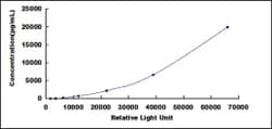 Biomatik Corporation Human Tissue Polypeptide Specific Antigen (TPS) CLIA