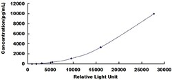 Biomatik Corporation Mouse Receptor For Advanced Glycation Endproducts