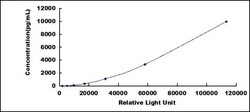 Biomatik Corporation Human Myeloperoxidase (MPO) CLIA Kit, Quantity: Each