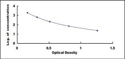 Biomatik Corporation Horse Atrial Natriuretic Peptide (ANP) ELISA Kit,