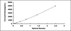 Biomatik Corporation Mouse Laminin Alpha 5 (LAMa5) ELISA Kit, Quantity: