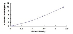 Biomatik Corporation Human Neutral Sphingomyelinase Activation Associated