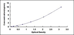 Biomatik Corporation Human SCAN Domain Containing Protein 3 (SCAND3) ELISA