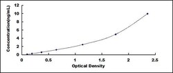 Biomatik Corporation Human Vasodilator Stimulated Phosphoprotein (VASP)