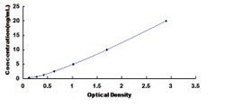 Biomatik Corporation Human Urate Transporter 1 (URAT1) ELISA Kit, Quantity: