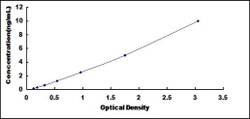 Biomatik Corporation Human Twinfilin 1 (TWF1) ELISA Kit, Quantity: Each