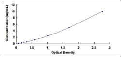 Biomatik Corporation Mouse Tubulin Beta 1 (TUBb1) ELISA Kit, Quantity: