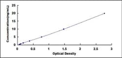 Biomatik Corporation Bovine Tissue Inhibitors Of Metalloproteinase 4 (TIMP4)