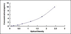 Biomatik Corporation Pig Tissue Inhibitors Of Metalloproteinase 3 (TIMP3)