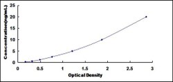 Biomatik Corporation Human Suppressor Of Zeste 12 Homolog (SUZ12) ELISA