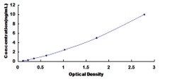 Biomatik Corporation Mouse Succinate Dehydrogenase Complex Subunit C (SDHC)