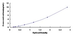 Biomatik Corporation Rat Sialidase 2, Cytosolic (SIAL2) ELISA Kit, Quantity:
