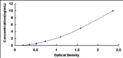 Biomatik Corporation Human Septin 6 (SEPT6) ELISA Kit, Quantity: Each of
