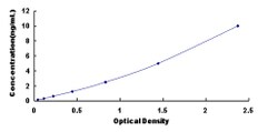 Biomatik Corporation Mouse Reticulocalbin 2 (RCN2) ELISA Kit, Quantity: