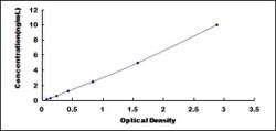 Biomatik Corporation Human Protocadherin Gamma A2 (PCDHgA2) ELISA Kit,