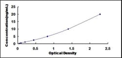 Biomatik Corporation Human Prefoldin Subunit 1 (PFDN1) ELISA Kit, Quantity: