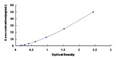 Biomatik Corporation Human Poly A Specific Ribonuclease (PARN) ELISA Kit,