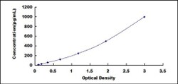 Biomatik Corporation Rat Neuronal Pentraxin I (NPTX1) ELISA Kit, Quantity: