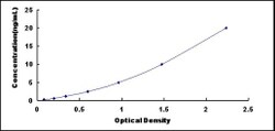 Biomatik Corporation Rat Neuron Derived Orphan Receptor 1 (NOR1) ELISA