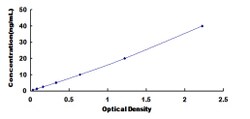 Biomatik Corporation Rat N-Acetyltransferase 2 (NAT2) ELISA Kit, Quantity: