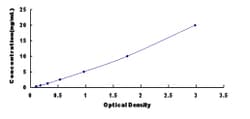 Biomatik Corporation Rat Microtubule Associated Protein 4 (MAP4) ELISA