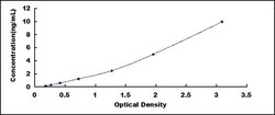 Biomatik Corporation Human Methylthioadenosine Phosphorylase (MTAP) ELISA