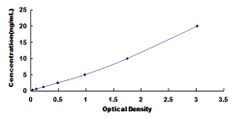 Biomatik Corporation Human Kinesin Light Chain 1 (KLC1) ELISA Kit, Quantity: