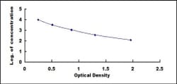 Biomatik Corporation Human Kallikrein 14 (KLK14) ELISA Kit, Quantity: Each