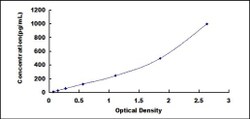 Biomatik Corporation Horse Interleukin 12B (IL12B) ELISA Kit, Quantity: