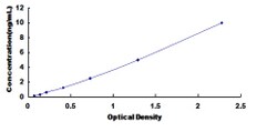 Biomatik Corporation Human Interleukin 12 Receptor Beta 1 (IL12Rb1) ELISA