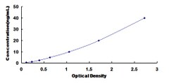 Biomatik Corporation Mouse Growth Arrest And DNA Damage Inducible Protein