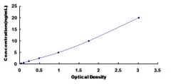 Biomatik Corporation Human Glycogen Phosphorylase, Muscle (PYGM) ELISA