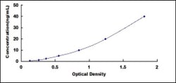 Biomatik Corporation Human Flotillin 2 (FLOT2) ELISA Kit, Quantity: Each