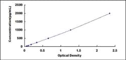 Biomatik Corporation Human Elastase 3A (ELA3A) ELISA Kit, Quantity: Each