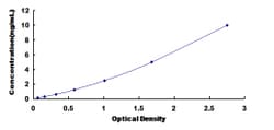 Biomatik Corporation Human Cyclin Dependent Kinase Inhibitor 3 (CDKN3)