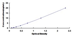 Biomatik Corporation Rat Cyclin Dependent Kinase 2 (CDK2) ELISA Kit, Quantity: