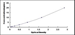 Biomatik Corporation Human C-Terminal Binding Protein 2 (CTBP2) ELISA Kit,