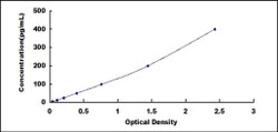 Biomatik Corporation Rabbit Complement Component 5a (C5a) ELISA Kit, Quantity: