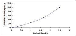 Biomatik Corporation Rat Complement Component 1, Q Subcomponent A (C1qA)