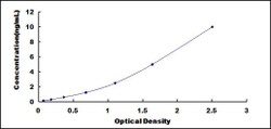 Biomatik Corporation Human Complement Component 1, Q Subcomponent A (C1qA)