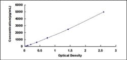 Biomatik Corporation Human Cluster Of Differentiation 30 Ligand (CD30L)