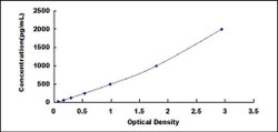 Biomatik Corporation Mouse Cluster Of Differentiation (CD163) ELISA Kit,