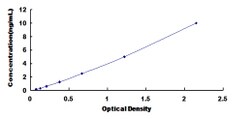 Biomatik Corporation Human Cholinergic Receptor, Nicotinic, Beta 2 (CHRNb2)