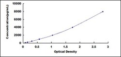 Biomatik Corporation Human Cholesterol-25-Hydroxylase (CH25H) ELISA Kit,